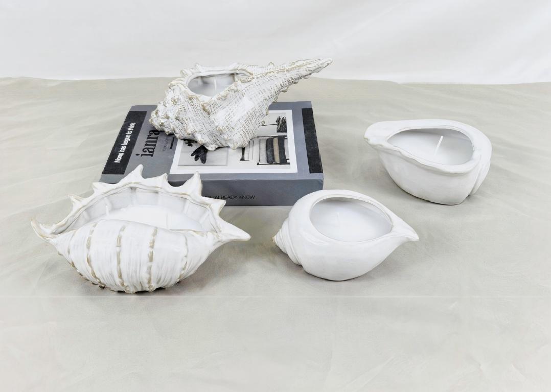 Подсвечники бывают разных форм. Вы когда-нибудь видели животное в форме морской ракушки?